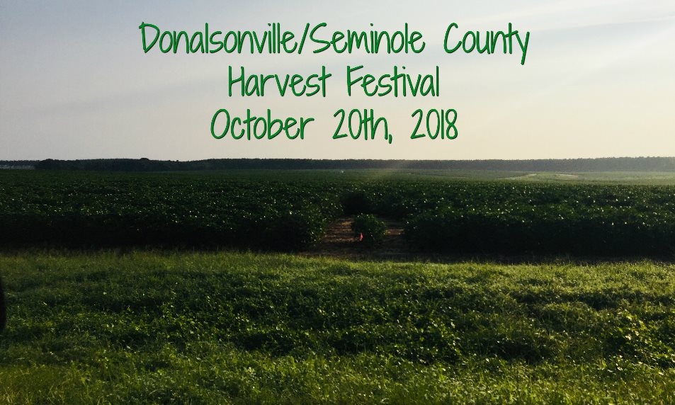 Harvest Festival 2018