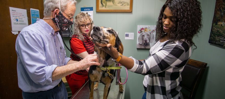 Pet Clinic near Riverside, CA